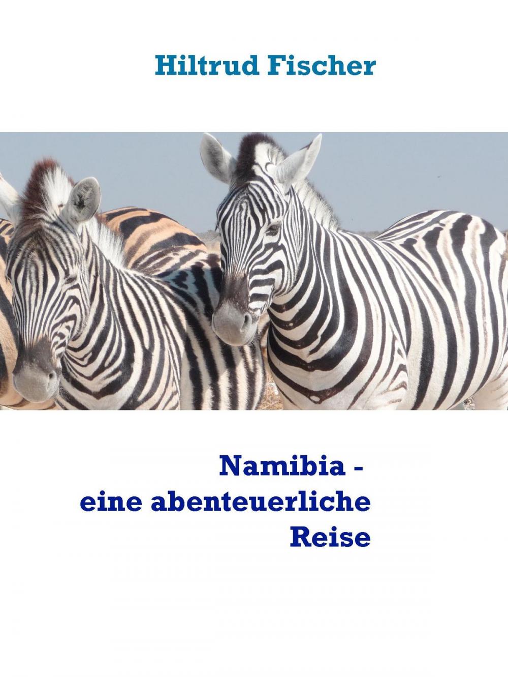 Big bigCover of Namibia - eine abenteuerliche Reise