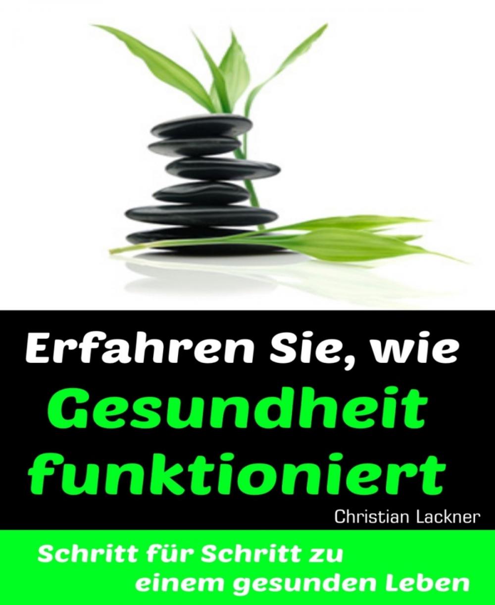 Big bigCover of Erfahren Sie, wie Gesundheit funktioniert