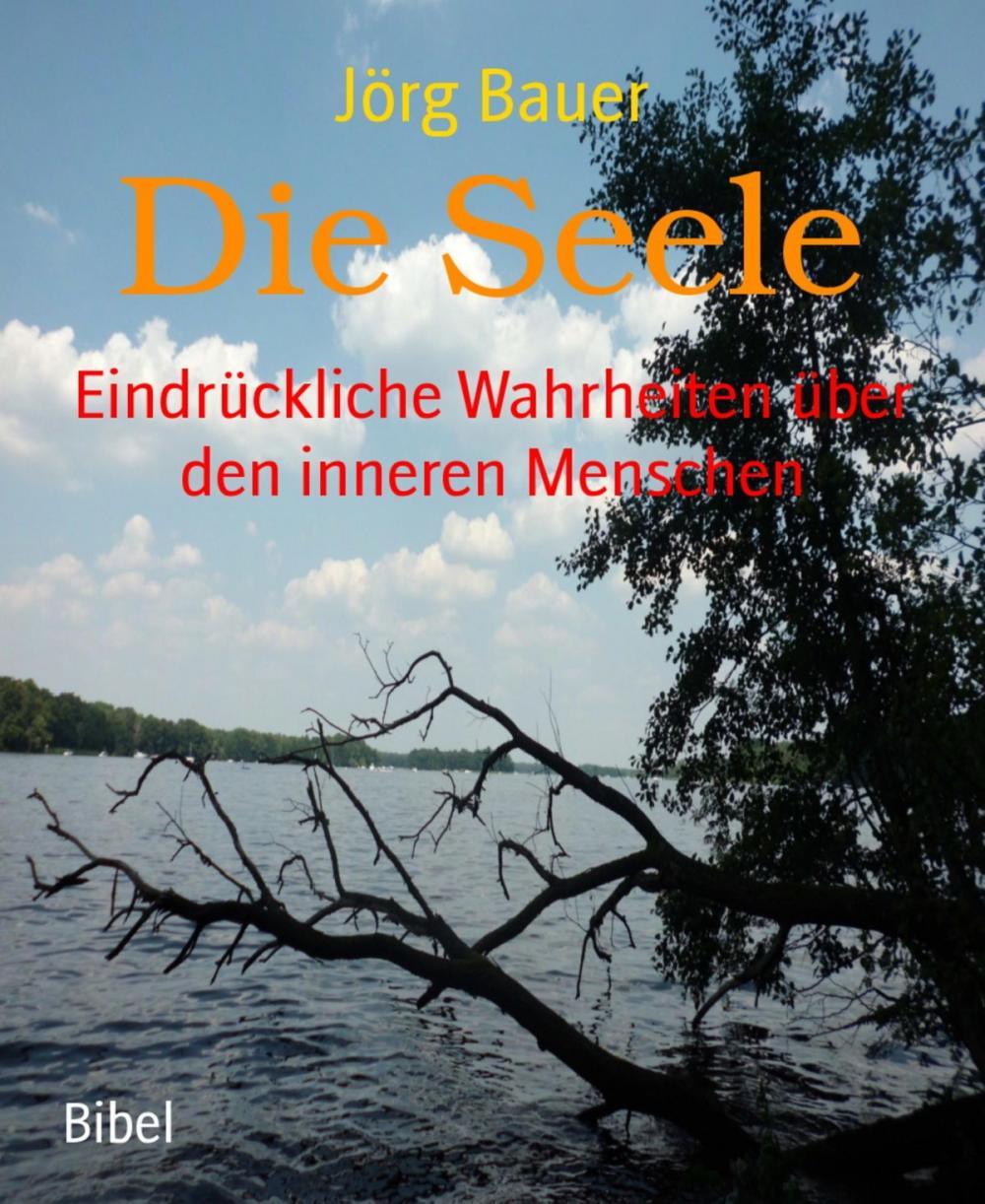 Big bigCover of Die Seele