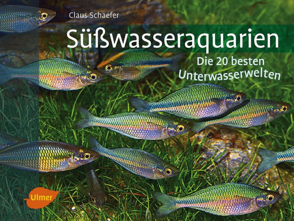 Big bigCover of Süßwasseraquarien