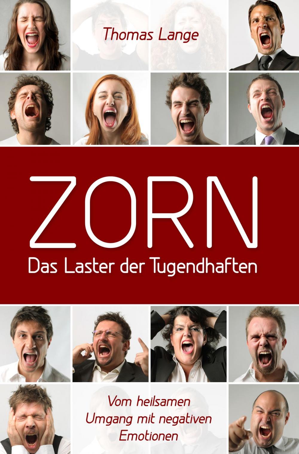 Big bigCover of ZORN - das Laster der Tugendhaften