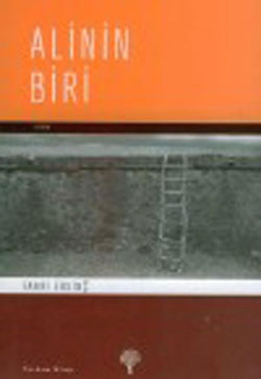 Big bigCover of Alinin Biri