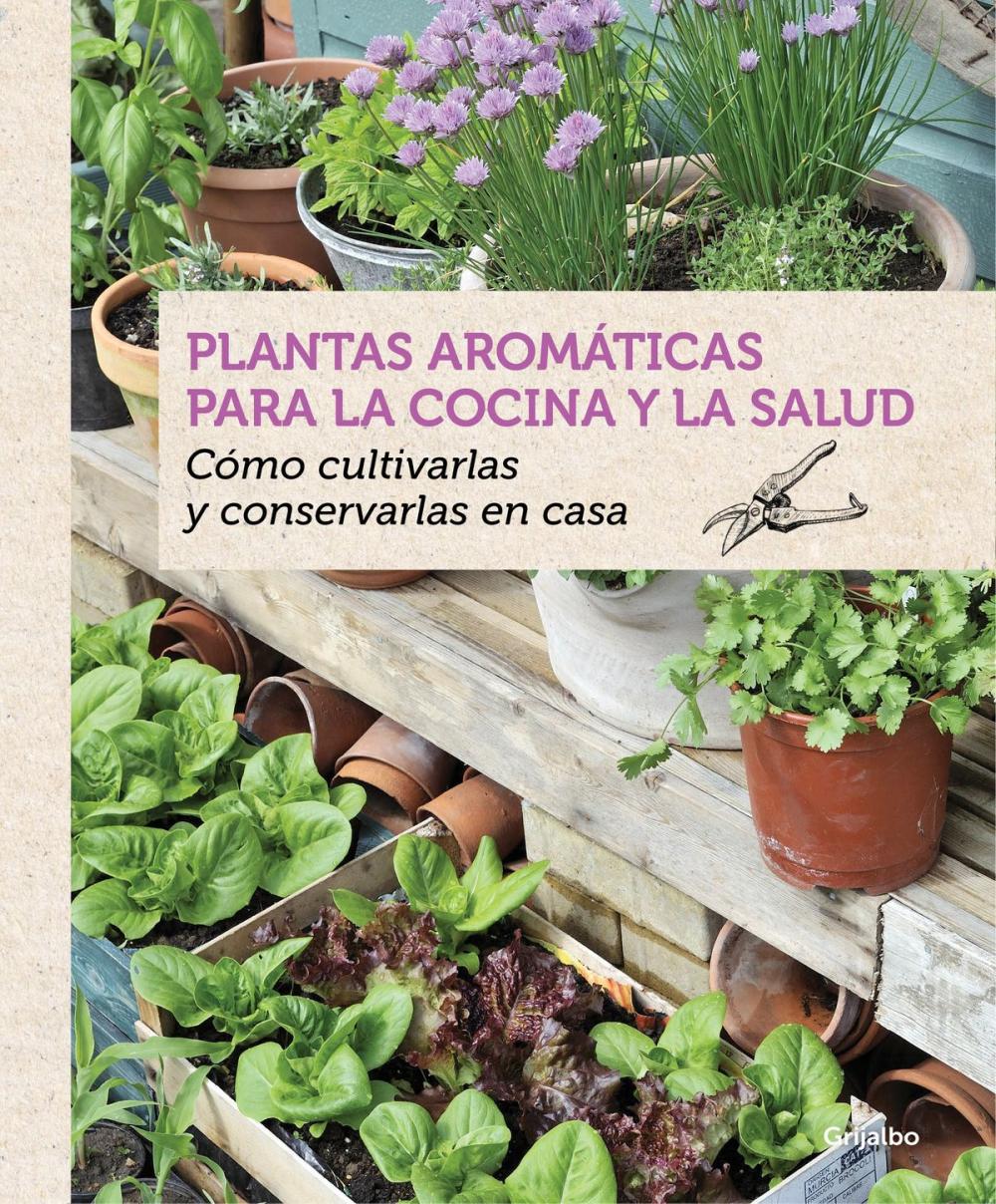 Big bigCover of Plantas aromáticas para la cocina y la salud