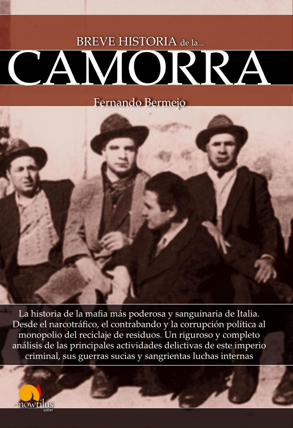 Big bigCover of Breve historia de la Camorra