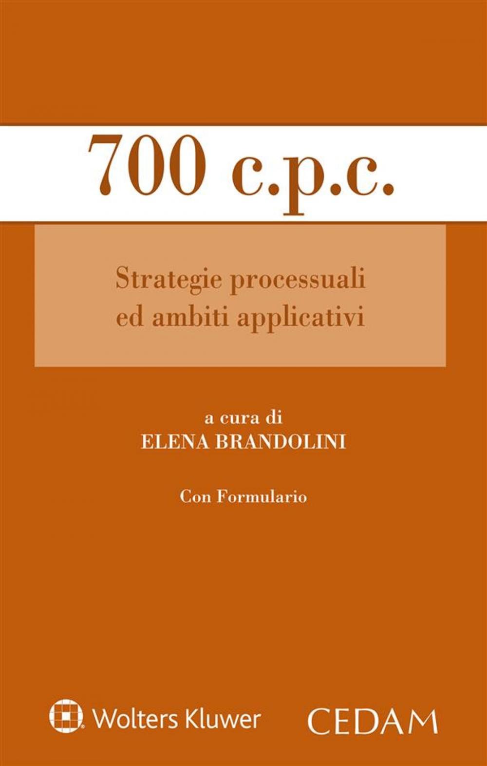 Big bigCover of 700 c.p.c. Strategie processuali ed ambiti applicativi