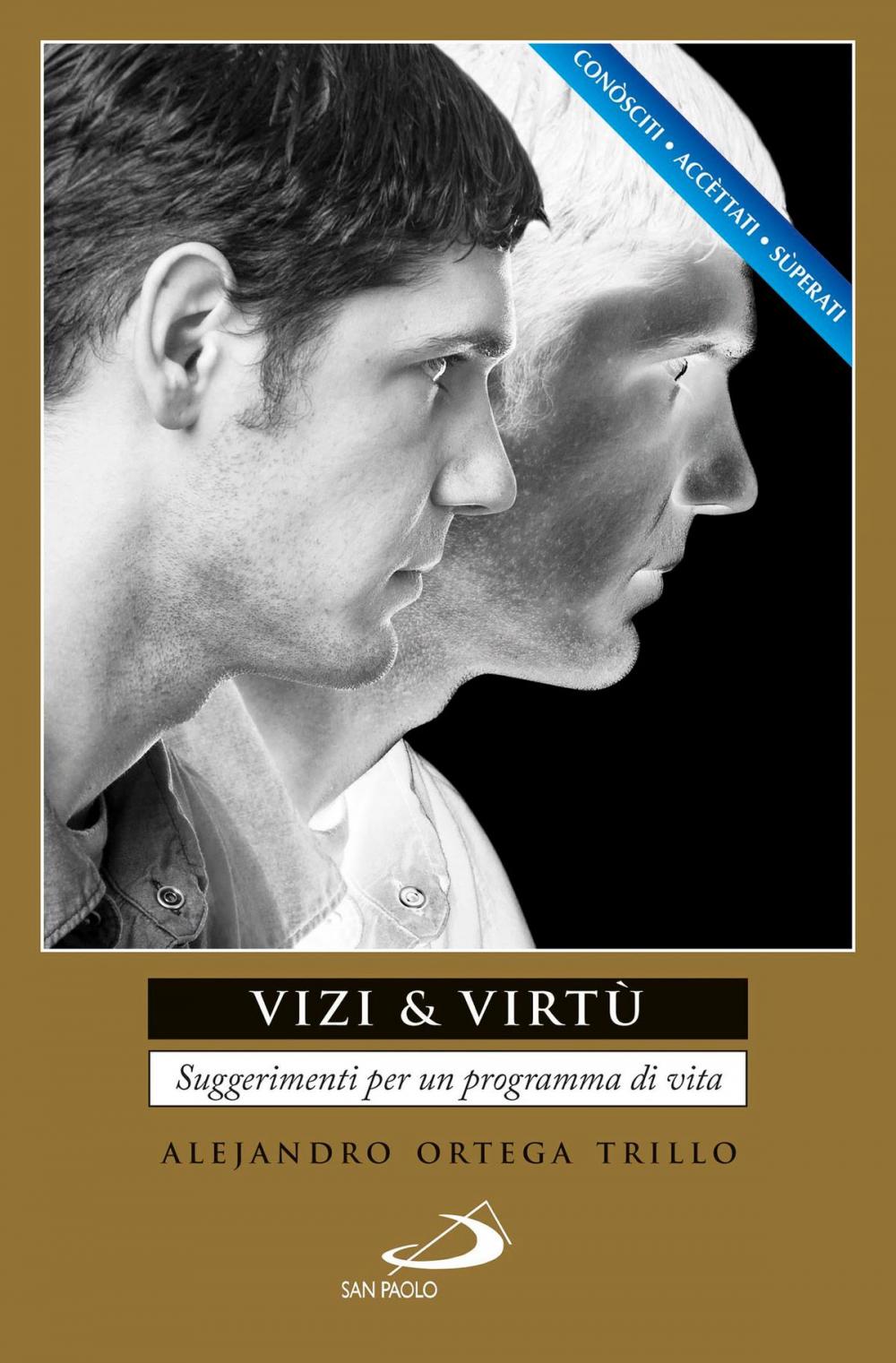 Big bigCover of Vizi & virtù. Suggerimenti per un programma di vita