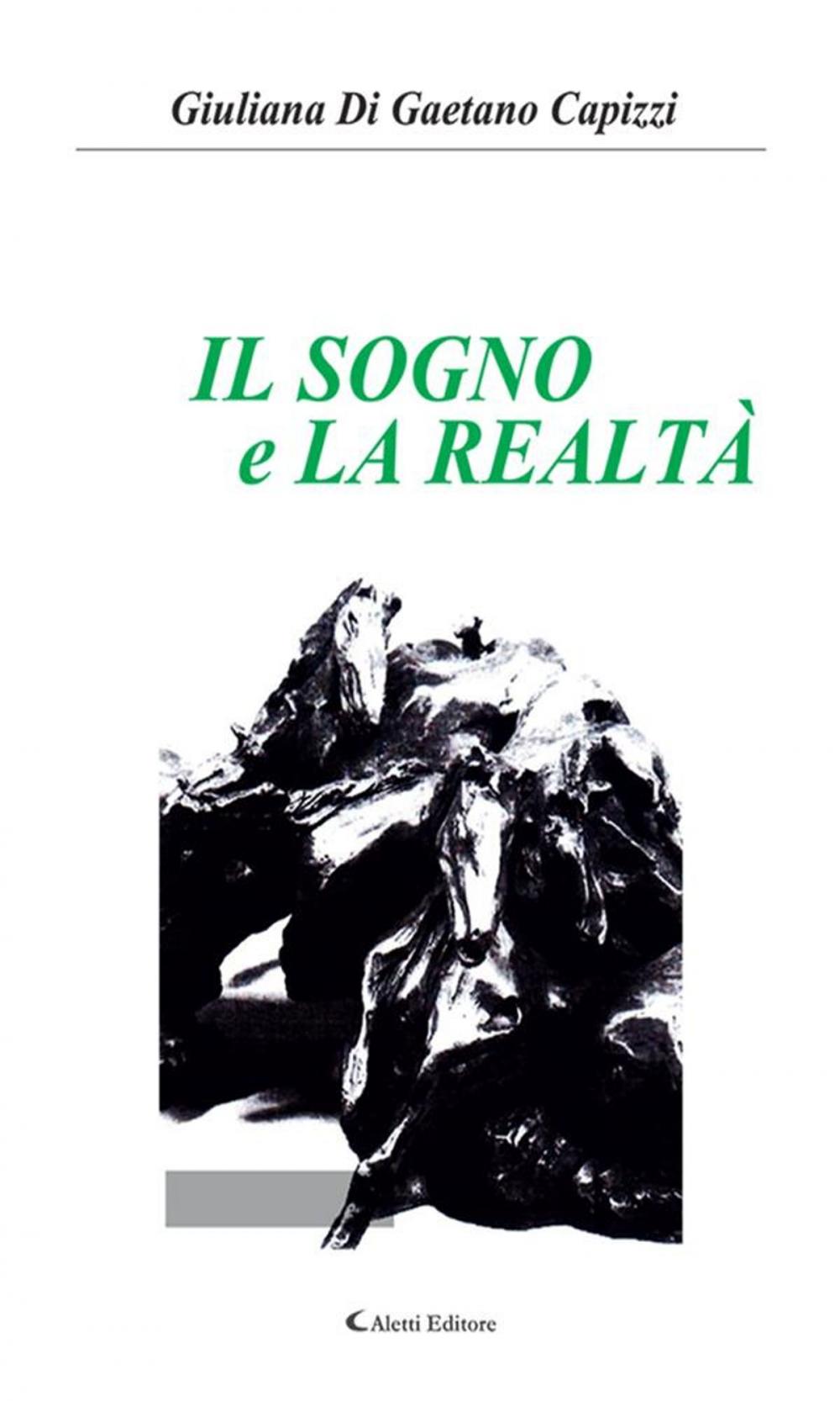 Big bigCover of Il sogno e la realtà