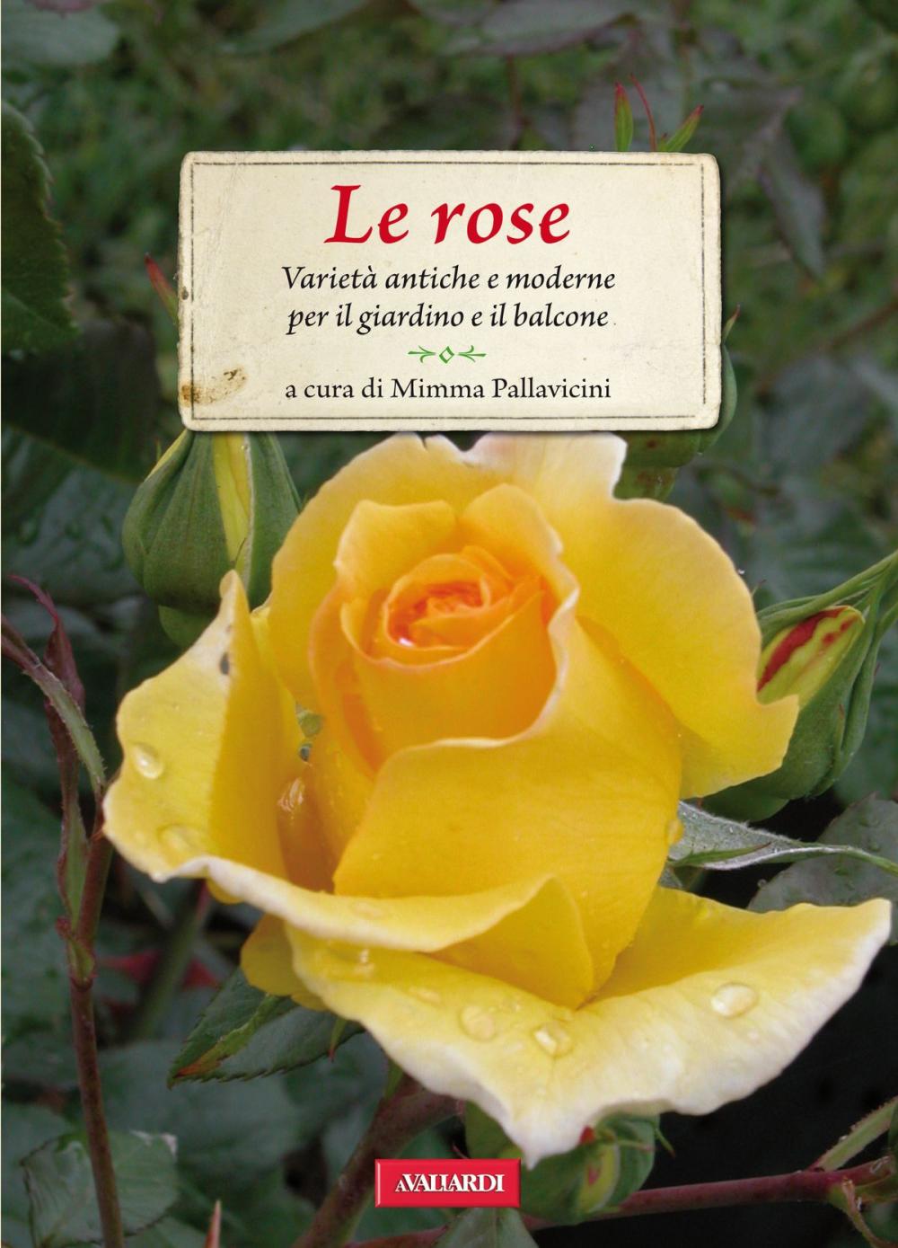 Big bigCover of Le rose