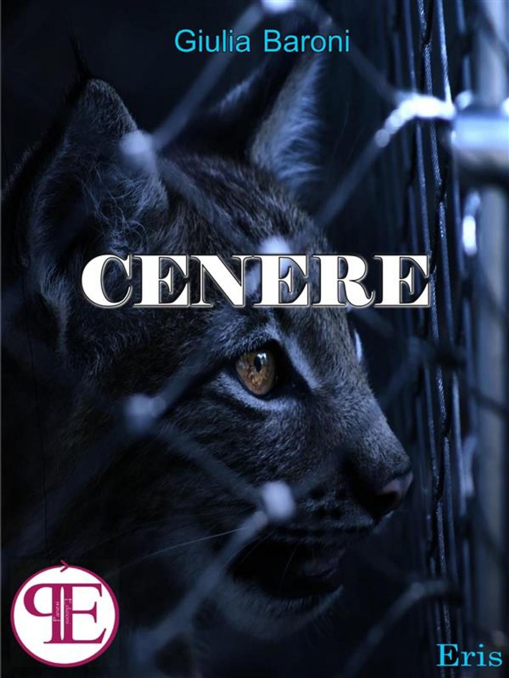 Big bigCover of Cenere