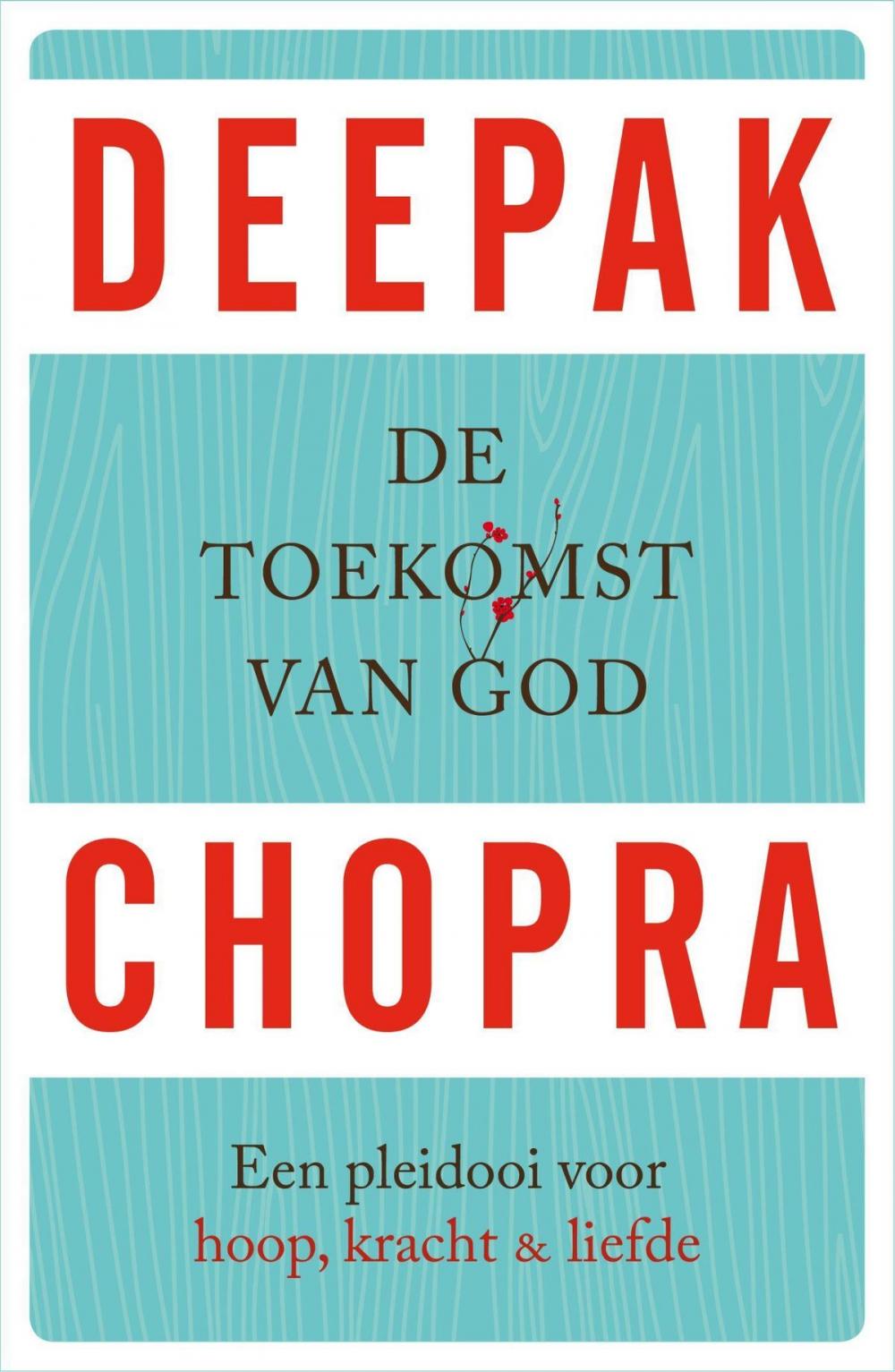 Big bigCover of De toekomst van God