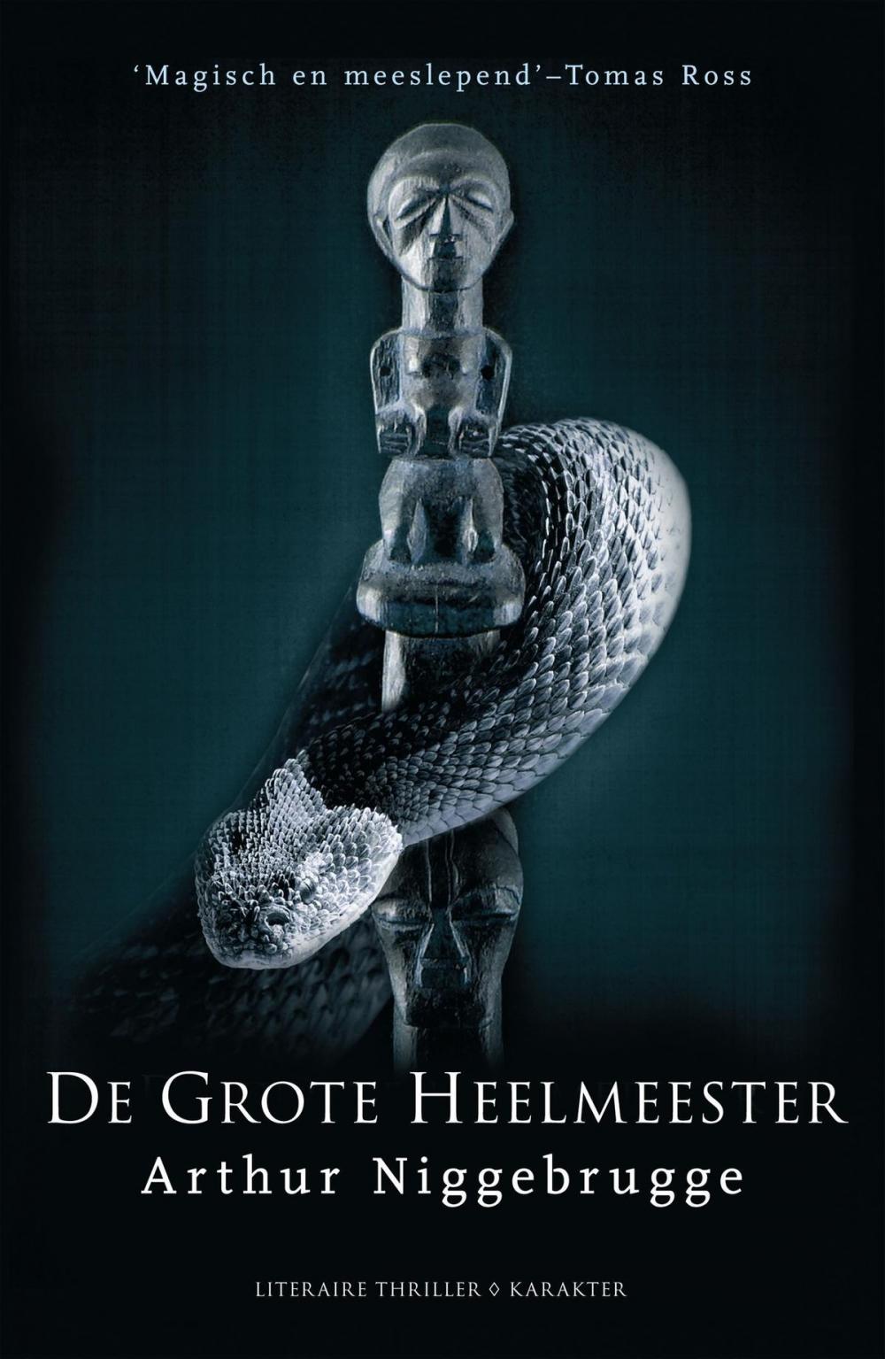 Big bigCover of De grote heelmeester