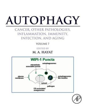 Cover of the book Autophagy: Cancer, Other Pathologies, Inflammation, Immunity, Infection, and Aging by Matthieu Piel, Manuel Théry