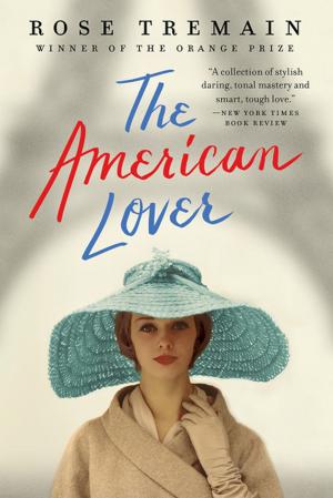 Cover of the book The American Lover by Audre Lorde