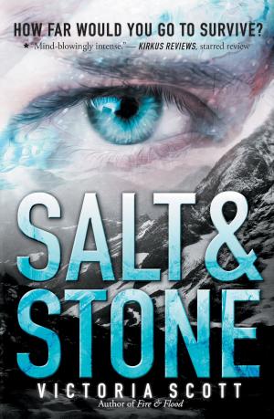 Cover of the book Salt & Stone by Sherri Dusky