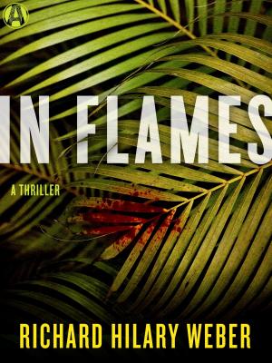 Cover of the book In Flames by Caleb Carr