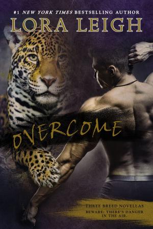 Cover of the book Overcome by Annie Grace