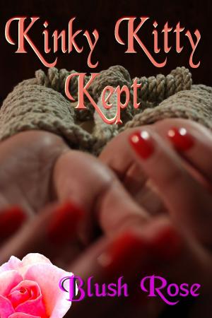 Cover of the book Kinky Kitty Kept by Tress Jolie