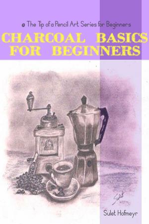 Cover of the book Charcoal Basics for Beginners by Susanne Pypke