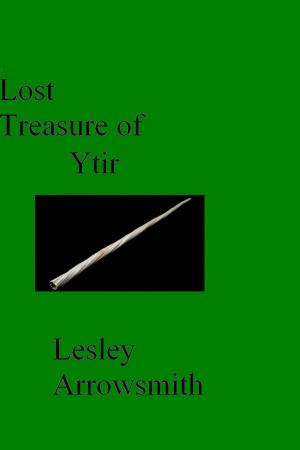 Cover of the book Lost Treasure of Ytir by Jennifer Allis Provost