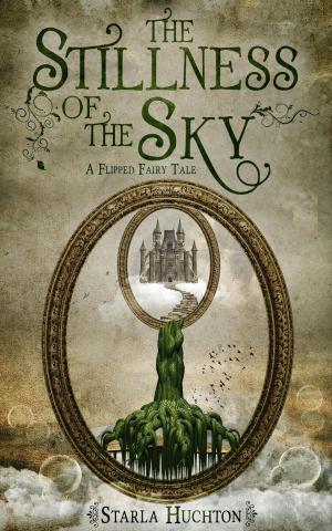 Cover of the book The Stillness of the Sky by Robert George Pottorff