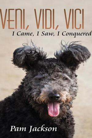 Cover of the book Veni, Vidi, Vici by Judith Weinshall Liberman