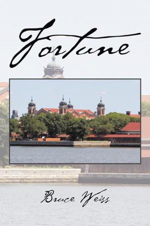 Cover of the book Fortune by MoDena Stinnette
