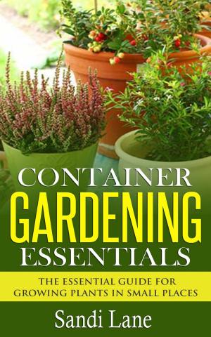 Cover of the book Container Gardening Essentials by Kelly T Hudson