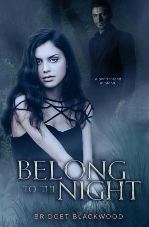 Cover of the book Belong to the Night by alisha rai