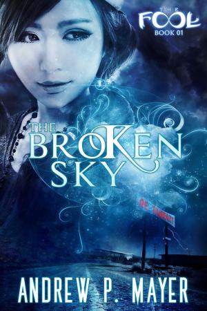 Cover of the book The Broken Sky by Danielle Monsch