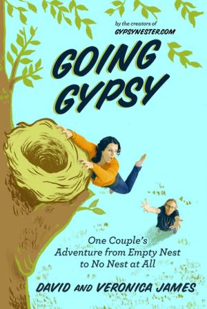 Cover of the book Going Gypsy by John Ritschel