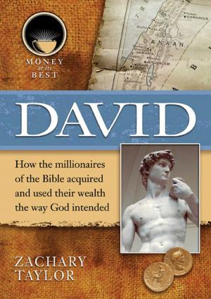 Cover of the book David by David Robson