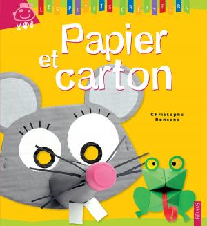 Cover of the book Papier et carton by Bénédicte Carboneill, Delphine Bolin