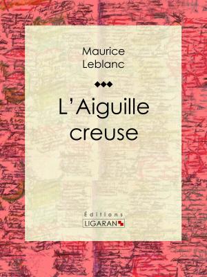 Cover of the book L'Aiguille creuse by Jules Renard, Henri Bachelin, Ligaran