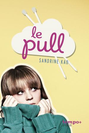 Cover of the book Le pull by Élisabeth Simonin