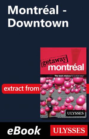Cover of the book Montréal - Downtown by Jérôme Delgado