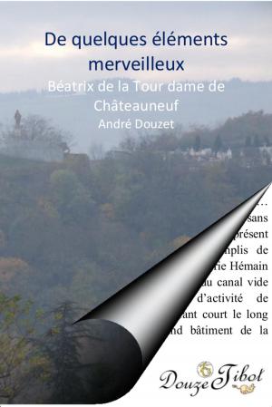 Cover of the book De quelques éléments merveilleux...Béatrix de Châteauneuf by André Douzet