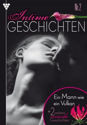 Book cover of Intime Geschichten 2 – Erotikroman