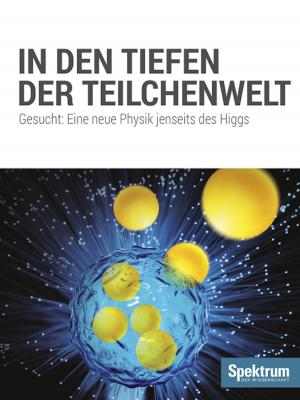 Cover of the book In den Tiefen der Teilchenwelt by 