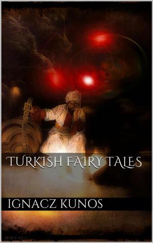 Cover of the book Turkish Fairy Tales by Lily Rose Golding