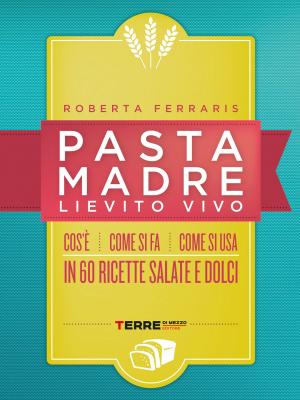 Cover of the book Pasta madre, lievito vivo by Mindy Segal, Kate Leahy