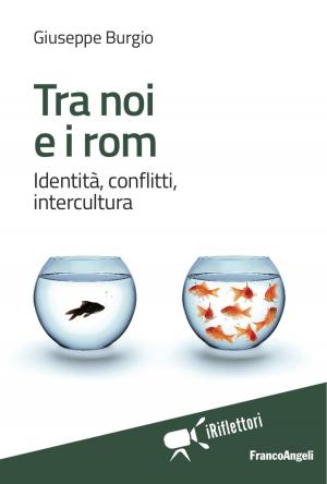 Book cover of Tra noi e i rom.