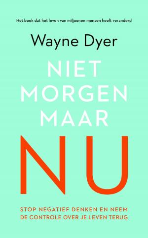 Cover of the book Niet morgen, maar nu by Sharon Bolton