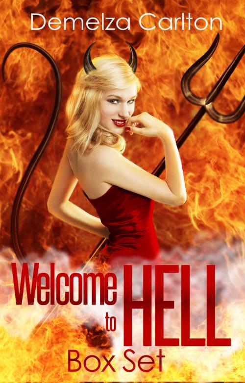 Cover of the book Welcome to Hell Box Set by Demelza Carlton, Lost Plot Press