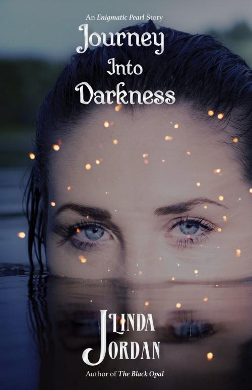Cover of the book Journey Into Darkness by Linda Jordan, Metamorphosis Press