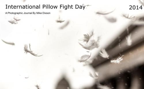 Cover of the book International Pillow Fight Day 2014 by Mike Dixson, Mike Dixson