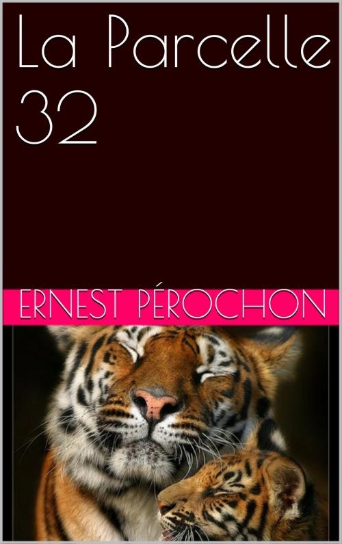 Cover of the book La Parcelle 32 by Ernest Pérochon, NA