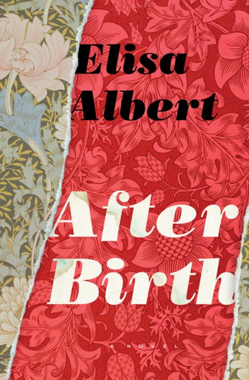 Cover of the book After Birth by Elisa Albert, Houghton Mifflin Harcourt