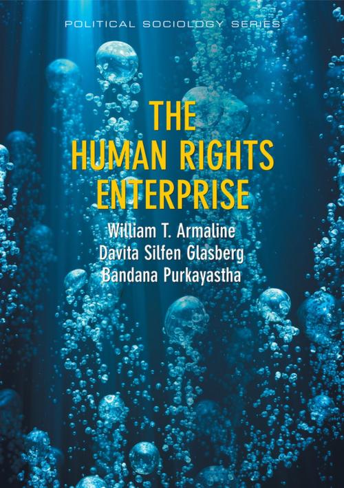 Cover of the book The Human Rights Enterprise by William T. Armaline, Davita S. Glasberg, Bandana Purkayastha, Wiley