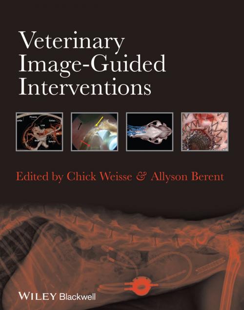 Cover of the book Veterinary Image-Guided Interventions by , Wiley