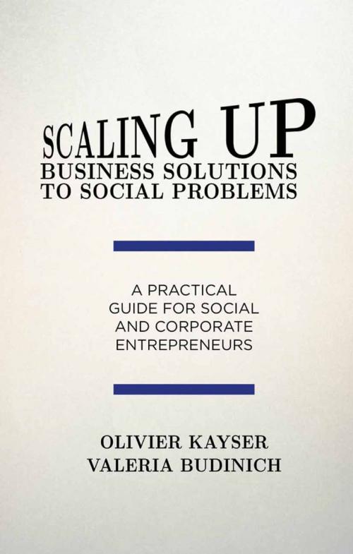 Cover of the book Scaling up Business Solutions to Social Problems by O. Kayser, V. Budinich, Palgrave Macmillan UK